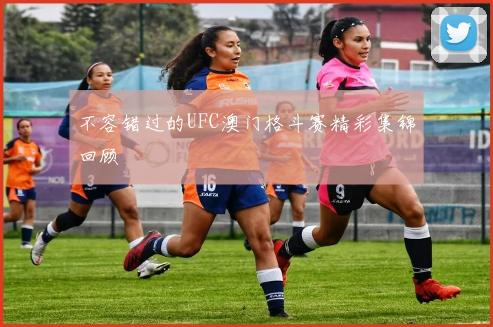 不容错过的UFC澳门格斗赛精彩集锦回顾