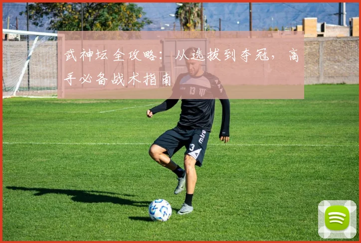 武神坛全攻略：从选拔到夺冠，高手必备战术指南