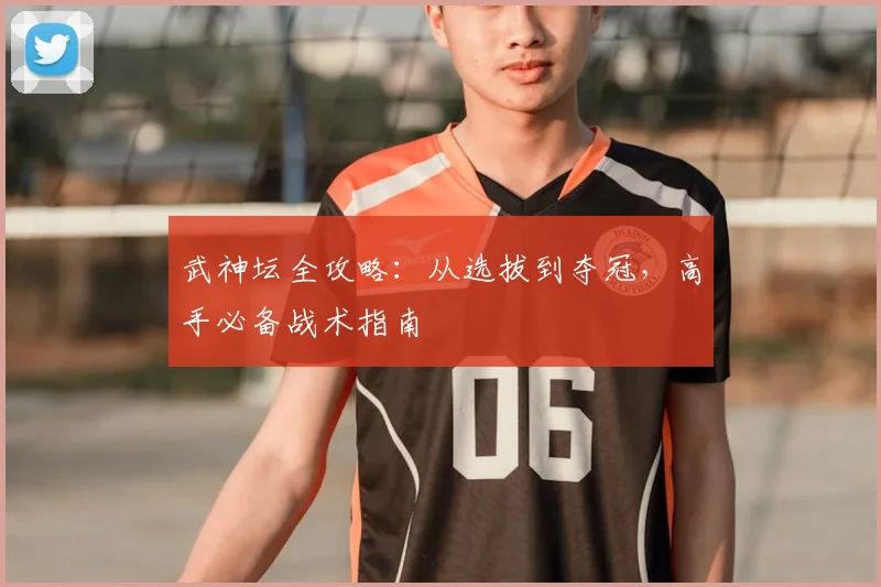 武神坛全攻略：从选拔到夺冠，高手必备战术指南