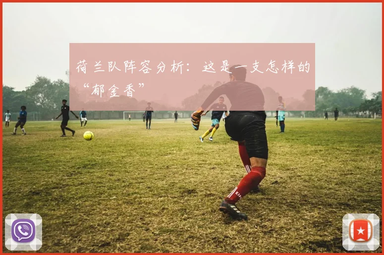 荷兰队阵容分析：这是一支怎样的“郁金香”