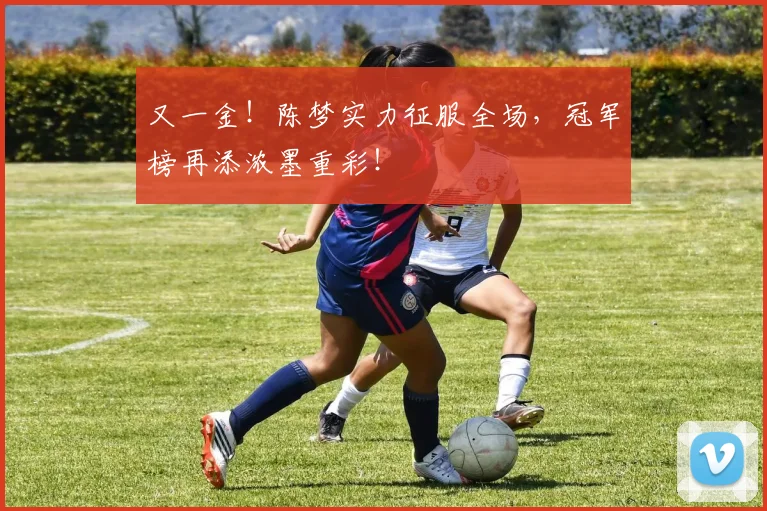 又一金！陈梦实力征服全场，冠军榜再添浓墨重彩！